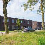 Biobased Eengezinswoningen van hout voor woningcooperatie Wonion